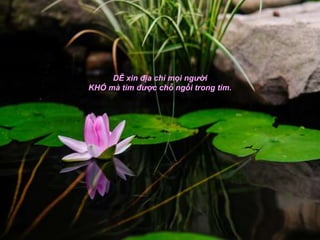 DỄ xin địa chỉ mọi người
KHÓ mà tìm được chỗ ngồi trong tim.
 