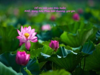 DỂ khi mất cảm thấy buồn
KHÓ, trong hữu Phúc biết thương, giữ gìn.
 