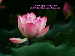 DỄ cho ngày tháng đi qua
KHÓ là tỉnh thức trong ta vài giờ..
 