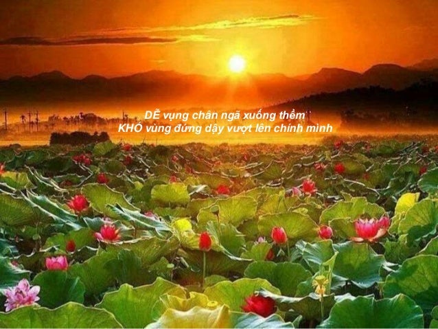 DỄ vụng chân ngã xuống thềmKHÓ vùng đứng dậy vượt lên chính mình