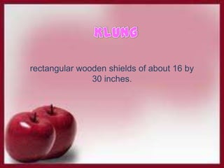 rectangular wooden shields of about 16 by
30 inches.
 