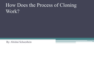How Does the Process of Cloning
Work?

By: Abishai Schoenbein

 