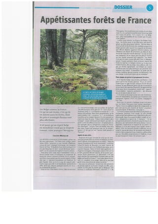 Dossier Libre Immo du 19 décembre 2013: Derrière le sapin, la forêt.