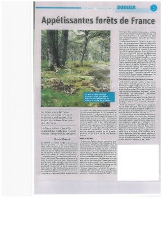 Dossier Libre Immo du 19 décembre 2013, intitulé "Derrière le sapin, la forêt"