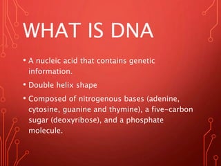 WHAT IS DNA
• A nucleic acid that contains genetic
information.
• Double helix shape
• Composed of nitrogenous bases (adenine,
cytosine, guanine and thymine), a five-carbon
sugar (deoxyribose), and a phosphate
molecule.
 