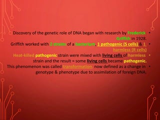 •Discovery of the genetic role of DNA began with research by Frederick
Griffith in 1928.
•Griffith worked with 2 strains of a bacterium, 1 pathogenic (S cells) & 1
harmless (R cells)
•Heat-killed pathogenic strain were mixed with living cells of harmless
strain and the result = some living cells became pathogenic.
•This phenomenon was called transformation, now defined as a change in
genotype & phenotype due to assimilation of foreign DNA.
 