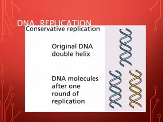 DNA: REPLICATION
Monday, August 28, 2017
 