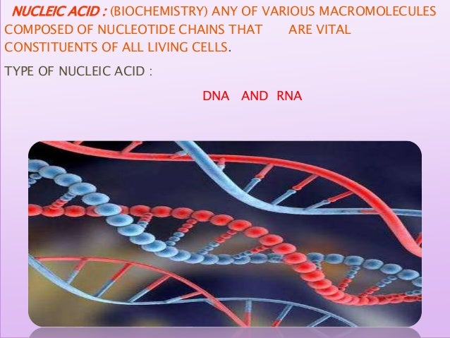 Dna Slides Grade 12 Life Sciences