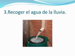 3.Recoger el agua de la lluvia.
 