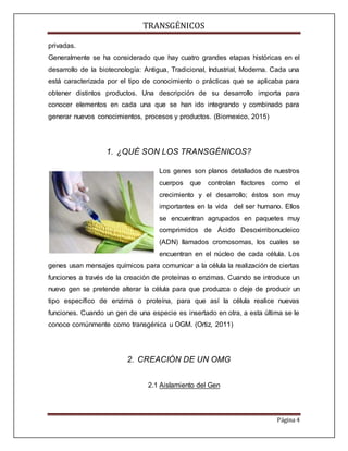 TRANSGÉNICOS
Página 4
privadas.
Generalmente se ha considerado que hay cuatro grandes etapas históricas en el
desarrollo de la biotecnología: Antigua, Tradicional, Industrial, Moderna. Cada una
está caracterizada por el tipo de conocimiento o prácticas que se aplicaba para
obtener distintos productos. Una descripción de su desarrollo importa para
conocer elementos en cada una que se han ido integrando y combinado para
generar nuevos conocimientos, procesos y productos. (Biomexico, 2015)
1. ¿QUÉ SON LOS TRANSGÉNICOS?
Los genes son planos detallados de nuestros
cuerpos que controlan factores como el
crecimiento y el desarrollo; éstos son muy
importantes en la vida del ser humano. Ellos
se encuentran agrupados en paquetes muy
comprimidos de Ácido Desoxirribonucleico
(ADN) llamados cromosomas, los cuales se
encuentran en el núcleo de cada célula. Los
genes usan mensajes químicos para comunicar a la célula la realización de ciertas
funciones a través de la creación de proteínas o enzimas. Cuando se introduce un
nuevo gen se pretende alterar la célula para que produzca o deje de producir un
tipo específico de enzima o proteína, para que así la célula realice nuevas
funciones. Cuando un gen de una especie es insertado en otra, a esta última se le
conoce comúnmente como transgénica u OGM. (Ortiz, 2011)
2. CREACIÓN DE UN OMG
2.1 Aislamiento del Gen
 