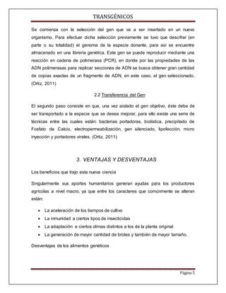 TRANSGÉNICOS
Página 5
Se comienza con la selección del gen que va a ser insertado en un nuevo
organismo. Para efectuar dicha selección previamente se tuvo que descifrar (en
parte o su totalidad) el genoma de la especie donante, para así se encuentre
almacenado en una librería genética. Este gen se puede reproducir mediante una
reacción en cadena de polimerasa (PCR), en donde por las propiedades de las
ADN polimerasas para replicar secciones de ADN se busca obtener gran cantidad
de copias exactas de un fragmento de ADN, en este caso, el gen seleccionado.
(Ortiz, 2011)
2.2 Transferencia del Gen
El segundo paso consiste en que, una vez aislado el gen objetivo, éste debe de
ser transportado a la especie que se desea mejorar, para ello existe una serie de
técnicas entre las cuales están: bacterias portadoras, biolística, precipitado de
Fosfato de Calcio, electropermeabilización, gen silenciado, lipofección, micro
inyección y portadores virales. (Ortiz, 2011)
3. VENTAJAS Y DESVENTAJAS
Los beneficios que trajo esta nueva ciencia
Singularmente sus aportes humanitarios generan ayudas para los productores
agrícolas a nivel macro, ya que entre los caracteres que comúnmente se alteran
están:
 La aceleración de los tiempos de cultivo
 La inmunidad a ciertos tipos de insecticidas
 La adaptación a ciertos climas distintos a los de la planta original
 La generación de mayor cantidad de brotes y también de mayor tamaño.
Desventajas de los alimentos genéticos
 