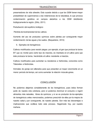 TRANSGÉNICOS
Página 7
preservadores de vida silvestre. Esto sucede debido a que los OGM tienen mayor
probabilidad de supervivencia a las inclemencias de la naturaleza, lo que provoca
contaminación genética en campos aledaños a los OGM debilitando
biológicamente la región. (Ortiz, 2011)
Perturbación del equilibrio biológico
Pérdida de biodiversidad de los cultivos
Aumento del uso de productos químicos sobre plantas por consiguiente mayor
contaminación de las aguas y los suelos. (Baquedano, 2014)
5. Ejemplos de transgénicos
Cultivos modificados para resistir plagas: por ejemplo, el gen que produce la toxina
BT que es mortal para cierto tipo de insectos, es insertada en el cultivo para que
éste produzca la toxina, haciéndolo al cultivo resistente a insectos.
Cultivos modificados para aumentar su resistencia a herbicidas, conocidos como
Tolerantes a Herbicidas.
Animales de granja son alterados para que presenten un mayor crecimiento en un
menor periodo de tiempo, así como aumentar la relación músculo-grasa.
CONCLUSIÓN
No podemos alejarnos completamente de los transgénicos, pues éstos forman
parte de nuestra vida cotidiana, pero sí podemos disminuir el consumo e ingerir
alimentos más naturales, libres de químicos; y si se es productor de los ejemplos
de transgénicos antes mencionados, podemos prescindir de ellos por la mejora de
nuestra salud y por consiguiente, de nuestro planeta. Son más las desventajas e
implicaciones que conlleva todo este proceso. Hagámoslo hoy, por nuestro
mañana.
 