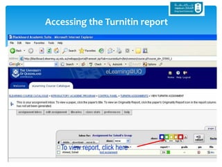 Accessing the Turnitin report
To view report, click here
 