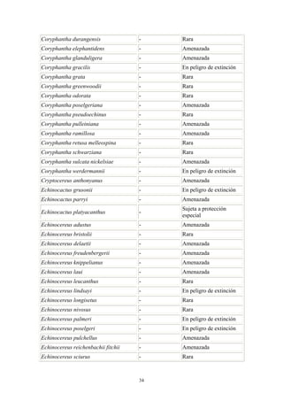 Coryphantha durangensis - Rara
Coryphantha elephantidens - Amenazada
Coryphantha glanduligera - Amenazada
Coryphantha gracilis - En peligro de extinción
Coryphantha grata - Rara
Coryphantha greenwoodii - Rara
Coryphantha odorata - Rara
Coryphantha poselgeriana - Amenazada
Coryphantha pseudoechinus - Rara
Coryphantha pulleiniana - Amenazada
Coryphantha ramillosa - Amenazada
Coryphantha retusa melleospina - Rara
Coryphantha schwarziana - Rara
Coryphantha sulcata nickelsiae - Amenazada
Coryphantha werdermannii - En peligro de extinción
Cryptocereus anthonyanus - Amenazada
Echinocactus grusonii - En peligro de extinción
Echinocactus parryi - Amenazada
Echinocactus platyacanthus -
Sujeta a protección
especial
Echinocereus adustus - Amenazada
Echinocereus bristolii - Rara
Echinocereus delaetii - Amenazada
Echinocereus freudenbergerii - Amenazada
Echinocereus knippelianus - Amenazada
Echinocereus laui - Amenazada
Echinocereus leucanthus - Rara
Echinocereus lindsayi - En peligro de extinción
Echinocereus longisetus - Rara
Echinocereus nivosus - Rara
Echinocereus palmeri - En peligro de extinción
Echinocereus poselgeri - En peligro de extinción
Echinocereus pulchellus - Amenazada
Echinocereus reichenbachii fitchii - Amenazada
Echinocereus sciurus - Rara
34
 