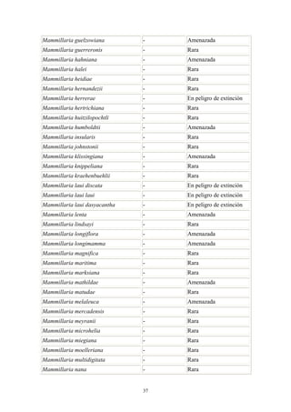 Mammillaria guelzowiana - Amenazada
Mammillaria guerreronis - Rara
Mammillaria hahniana - Amenazada
Mammillaria halei - Rara
Mammillaria heidiae - Rara
Mammillaria hernandezii - Rara
Mammillaria herrerae - En peligro de extinción
Mammillaria hertrichiana - Rara
Mammillaria huitzilopochtli - Rara
Mammillaria humboldtii - Amenazada
Mammillaria insularis - Rara
Mammillaria johnstonii - Rara
Mammillaria klissingiana - Amenazada
Mammillaria knippeliana - Rara
Mammillaria kraehenbuehlii - Rara
Mammillaria laui discata - En peligro de extinción
Mammillaria laui laui - En peligro de extinción
Mammillaria laui dasyacantha - En peligro de extinción
Mammillaria lenta - Amenazada
Mammillaria lindsayi - Rara
Mammillaria longiflora - Amenazada
Mammillaria longimamma - Amenazada
Mammillaria magnifica - Rara
Mammillaria maritima - Rara
Mammillaria marksiana - Rara
Mammillaria mathildae - Amenazada
Mammillaria matudae - Rara
Mammillaria melaleuca - Amenazada
Mammillaria mercadensis - Rara
Mammillaria meyranii - Rara
Mammillaria microhelia - Rara
Mammillaria miegiana - Rara
Mammillaria moelleriana - Rara
Mammillaria multidigitata - Rara
Mammillaria nana - Rara
37
 