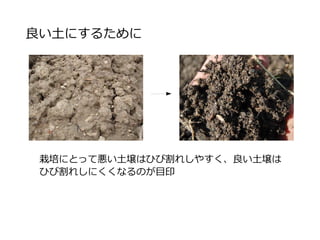 良い土にするために
栽培にとって悪い土壌はひび割れしやすく、良い土壌は
ひび割れしにくくなるのが目印
 