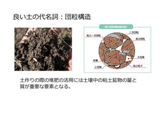 良い土の代名詞：団粒構造
土作りの際の堆肥の活用には土壌中の粘土鉱物の量と
質が重要な要素となる。
 