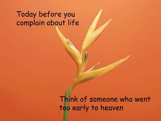 Today before you
complain about life
Think of someone who went
too early to heaven
 