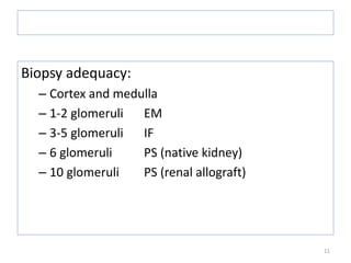 11
The Renal Biopsy Laboratory handling
Biopsy adequacy:
– Cortex and medulla
– 1-2 glomeruli EM
– 3-5 glomeruli IF
– 6 glomeruli PS (native kidney)
– 10 glomeruli PS (renal allograft)
 