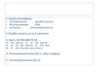 Biopsy Laboratory handling
1- fixation (Immediate):
• 10 % NB Formalin (paraffin sections)
• 4% Gluteraldehyde (EM)
• No fixation (Immunofluorescence)
2- Paraffin sections cut at 3 u thickness
3- Stains: HE PAS GMS TC CR …..
HE PAS GMS HE TC HE PAS GMS HE
TC HE HE PAS GMS HE TC PAS GMS
HE TC (CR, Microbial stains, others.)
4- Immunohistochemistry (IG, C, other antigens)
5- Immunofluorescence (IG, C)
 