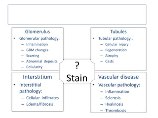 Primary Site of Renal Pathology
Glomerulus
• Glomerular pathology:
– Inflammation
– GBM changes
– Scarring
– Abnormal deposits
– Cellularity
Tubules
• Tubular pathology :
– Cellular injury
– Regeneration
– Atrophy
– Casts
Interstitium
• Interstitial
pathology:
– Cellular infiltrates
– Edema/fibrosis
Vascular disease
• Vascular pathology:
– Inflammation
– Sclerosis
– Hyalinosis
– Thrombosis
?
Stain
 