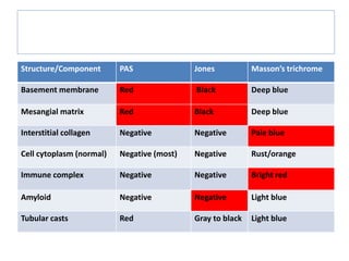 Structure/Component PAS Jones Masson’s trichrome
Basement membrane Red Black Deep blue
Mesangial matrix Red Black Deep blue
Interstitial collagen Negative Negative Pale blue
Cell cytoplasm (normal) Negative (most) Negative Rust/orange
Immune complex Negative Negative Bright red
Amyloid Negative Negative Light blue
Tubular casts Red Gray to black Light blue
Staining characteristics of selected normal and
abnormal renal structures
 
