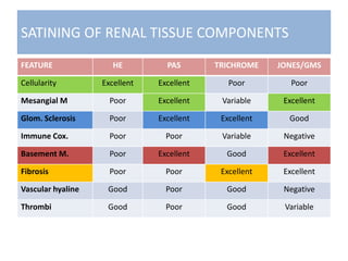SATINING OF RENAL TISSUE COMPONENTS
FEATURE HE PAS TRICHROME JONES/GMS
Cellularity Excellent Excellent Poor Poor
Mesangial M Poor Excellent Variable Excellent
Glom. Sclerosis Poor Excellent Excellent Good
Immune Cox. Poor Poor Variable Negative
Basement M. Poor Excellent Good Excellent
Fibrosis Poor Poor Excellent Excellent
Vascular hyaline Good Poor Good Negative
Thrombi Good Poor Good Variable
 