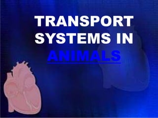 TRANSPORT
SYSTEMS IN
ANIMALS
 