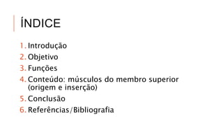 ÍNDICE
1. Introdução
2. Objetivo
3. Funções
4. Conteúdo: músculos do membro superior
(origem e inserção)
5. Conclusão
6. Referências/Bibliografia
 
