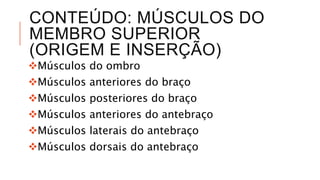 CONTEÚDO: MÚSCULOS DO
MEMBRO SUPERIOR
(ORIGEM E INSERÇÃO)
Músculos do ombro
Músculos anteriores do braço
Músculos posteriores do braço
Músculos anteriores do antebraço
Músculos laterais do antebraço
Músculos dorsais do antebraço
 