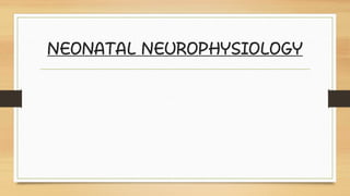 NEONATAL NEUROPHYSIOLOGY
 