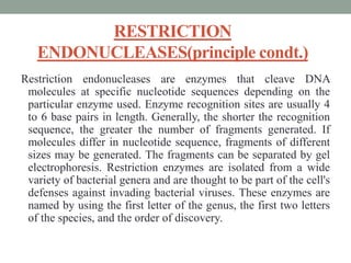 RESTRICTION
ENDONUCLEASES(principle condt.)
Restriction endonucleases are enzymes that cleave DNA
molecules at specific nucleotide sequences depending on the
particular enzyme used. Enzyme recognition sites are usually 4
to 6 base pairs in length. Generally, the shorter the recognition
sequence, the greater the number of fragments generated. If
molecules differ in nucleotide sequence, fragments of different
sizes may be generated. The fragments can be separated by gel
electrophoresis. Restriction enzymes are isolated from a wide
variety of bacterial genera and are thought to be part of the cell's
defenses against invading bacterial viruses. These enzymes are
named by using the first letter of the genus, the first two letters
of the species, and the order of discovery.
 