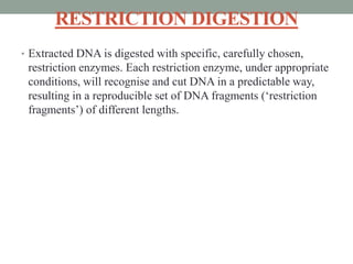 RESTRICTION DIGESTION
• Extracted DNA is digested with specific, carefully chosen,
restriction enzymes. Each restriction enzyme, under appropriate
conditions, will recognise and cut DNA in a predictable way,
resulting in a reproducible set of DNA fragments (‘restriction
fragments’) of different lengths.
 