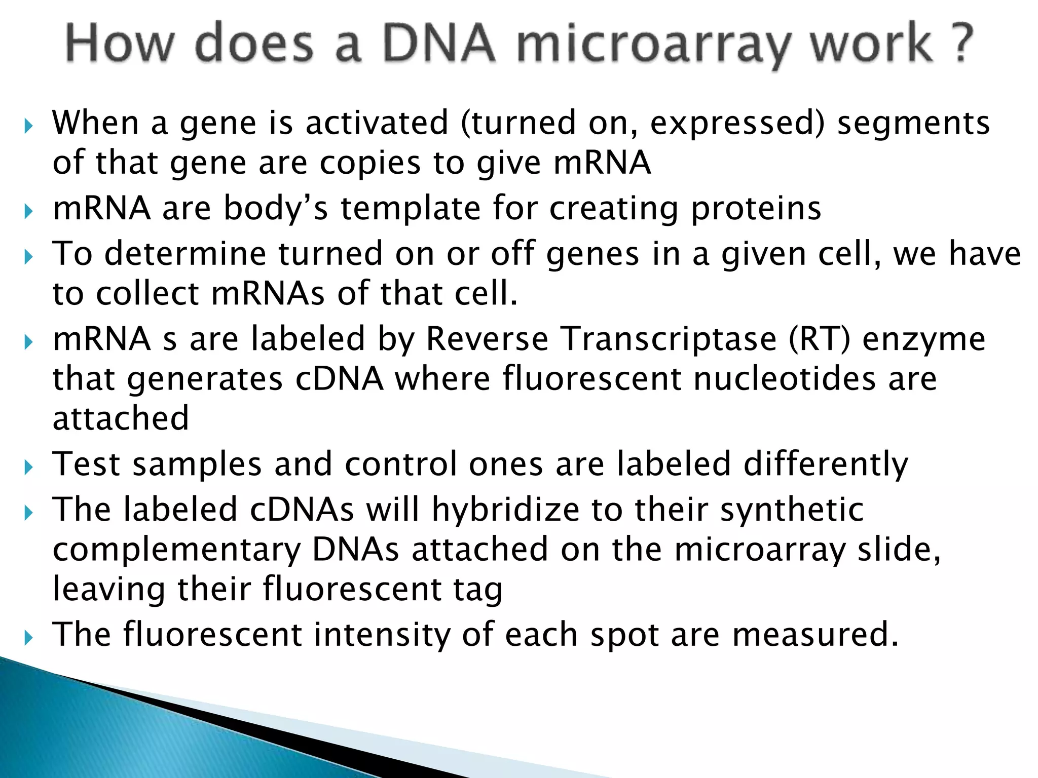  When a gene is activated (turned on, expressed) segments
of that gene are copies to give mRNA
 mRNA are body’s template for creating proteins
 To determine turned on or off genes in a given cell, we have
to collect mRNAs of that cell.
 mRNA s are labeled by Reverse Transcriptase (RT) enzyme
that generates cDNA where fluorescent nucleotides are
attached
 Test samples and control ones are labeled differently
 The labeled cDNAs will hybridize to their synthetic
complementary DNAs attached on the microarray slide,
leaving their fluorescent tag
 The fluorescent intensity of each spot are measured.
 