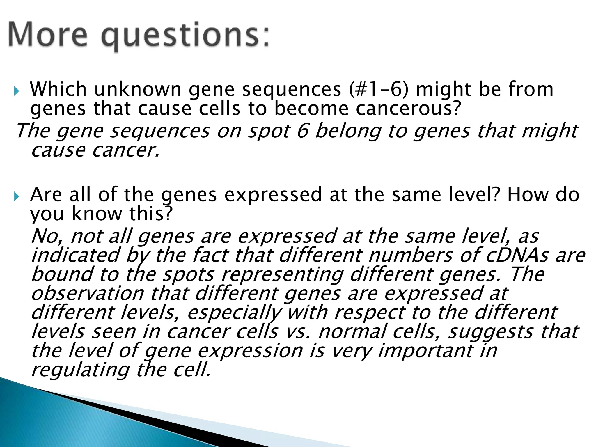  Which unknown gene sequences (#1–6) might be from
genes that cause cells to become cancerous?
The gene sequences on spot 6 belong to genes that might
cause cancer.
 Are all of the genes expressed at the same level? How do
you know this?
No, not all genes are expressed at the same level, as
indicated by the fact that different numbers of cDNAs are
bound to the spots representing different genes. The
observation that different genes are expressed at
different levels, especially with respect to the different
levels seen in cancer cells vs. normal cells, suggests that
the level of gene expression is very important in
regulating the cell.
 