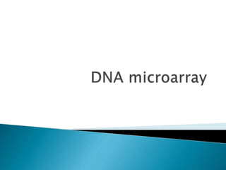 DNA Microarray