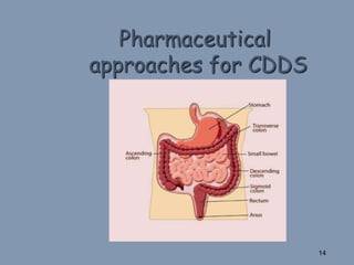 Pharmaceutical
approaches for CDDS
14
 