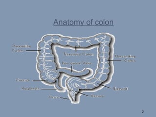 Anatomy of colon
2
 