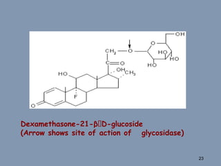 Dexamethasone-21-β D-glucoside
(Arrow shows site of action of glycosidase)
23
 