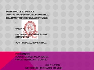 UNIVERSIDAD DE EL SALVADOR
FACULTAD MULTIDISCIPLINARIA PARACENTRAL
DEPARTAMENTO DE CIENCIAS AGRONOMICAS
‘
CATEDRA:
ANATOMIA Y FISIOLOGIA ANIMAL.
CATEDRATICO:
DOC. PEDRO ALONZO BARRAZA
INTEGRANTES:
CLAUDIA MARIBEL MEJIA ABARCA
SANDRA BEATRIZ NIETO CARPIO
CICLO: I- 2018
SAN VICENTE, 16 DE ABRIL DE 2018
 