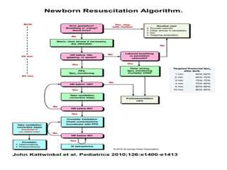Neonatal resuscitation guidlines | PPTX