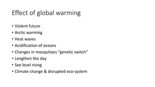 Effect of global warming
• Violent future
• Arctic warming
• Heat waves
• Acidification of oceans
• Changes in mosquitoes “genetic switch”
• Lengthen the day
• See level rising
• Climate change & disrupted eco-system
 
