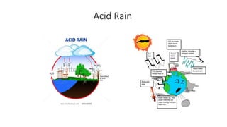 Acid Rain
 