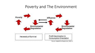 Poverty and The Environment
 