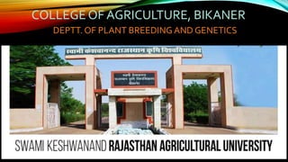 COLLEGE OF AGRICULTURE, BIKANER
DEPTT. OF PLANT BREEDING AND GENETICS
 