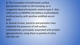 2. The truncation of erythrocyte surface
glycoproteins leads to cell clumping, as in
congenital dyserythropoietic anemia type II. Also
referred to as HEMPAS (hereditary erythroblastic
multinuclearity with positive acidified-serum
test).
3. Several viruses, bacteria and parasites have
exploited the presence of cell-surface
carbohydrates, principally associated with protein
(glycoproteins), using them as portals of entry
into the cell.
 