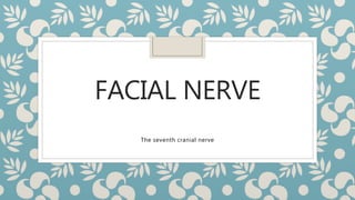 FACIAL NERVE
The seventh cranial nerve
 