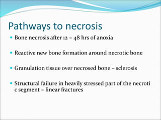 Pathways to necrosis
 Bone necrosis after 12 – 48 hrs of anoxia
 Reactive new bone formation around necrotic bone
 Granulation tissue over necrosed bone – sclerosis
 Structural failure in heavily stressed part of the necroti
c segment – linear fractures
 