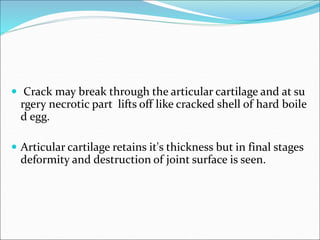  Crack may break through the articular cartilage and at su
rgery necrotic part lifts off like cracked shell of hard boile
d egg.
 Articular cartilage retains it's thickness but in final stages
deformity and destruction of joint surface is seen.
 