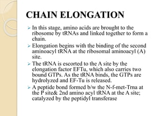 CHAIN ELONGATION
 In this stage, amino acids are brought to the
ribosome by tRNAs and linked together to form a
chain.
 Elongation begins with the binding of the second
aminoacyl tRNA at the ribosomal aminoacyl (A)
site.
 The tRNA is escorted to the A site by the
elongation factor EFTu, which also carries two
bound GTPs. As the tRNA binds, the GTPs are
hydrolyzed and EF-Tu is released.
 A peptide bond formed b/w the N-f-met-Trna at
the P site& 2nd amino acyl tRNA at the A site;
catalyzed by the peptidyl transferase
 